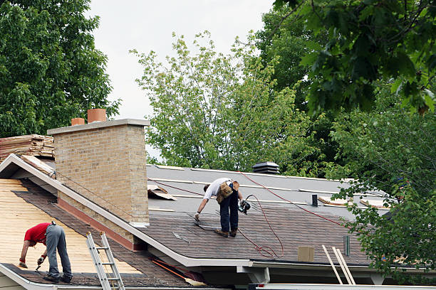Roof Gutter Cleaning in Oak Grove, KY