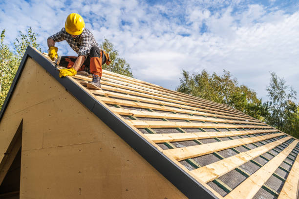 Best Metal Roofing Contractor  in Oak Grove, KY